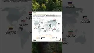 r/MapP*rn | Which countries have the most oil?