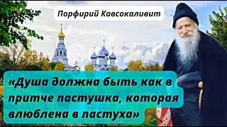 «Душа должна быть как в притче пастушка, которая влюблена в пастуха» Порфирий Кавсокаливит