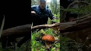 Грибник нашёл в лесу ЭТО и обалдел, такого не ожидал.