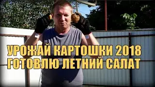 Урожай картофеля 2018 | Как приготовить простой салат