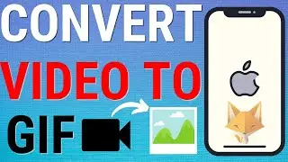 How To Convert Videos To GIFs On iPhone