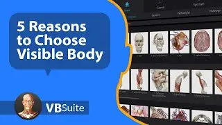 5 Reasons to Choose Visible Body