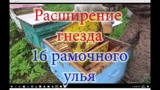 РАСШИРЯЕМ 16 РАМОЧНЫЕ УЛЬИ С ПЧЁЛАМИ ДО ПОЛНОГО КОМПЛЕКТА И ОБНОВЛЕНИЯ ГНЕЗДА🔥🔥🔥.