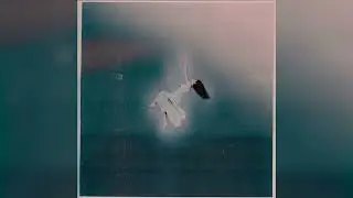 C Marí - Sin Miedo