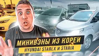 Авто из Кореи. Самые популярные минивэны Hyundai Starex и Staria. Kia Carnival во Владивостоке