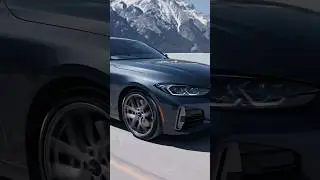 Journey North with 