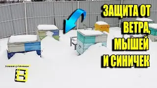 ЗАЩИТА УЛЬЕВ ОТ ВЕТРА, СИНИЧЕК И МЫШЕЙ. ПЕРЕСТАНОВКА УЛЬЕВ НА ПАСЕКЕ ДЛЯ НАЧИНАЮЩИХ ПЧЕЛОВОДОВ 40-21