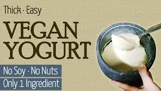 1 Single Ingredient, Easy Thick Vegan Yogurt | Soy Free | Nut Free