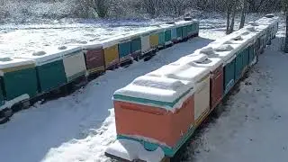 Выпал снег, есть потери