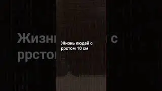 жизнь людей с ростом 10 см XD