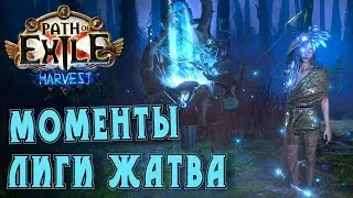 Path of Exile - Моменты лиги Жатва 3.11