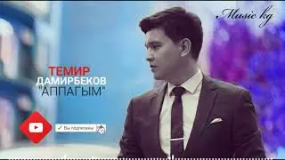 Темир Дамирбеков 