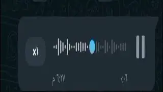 بحبك يا بنتي