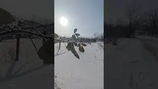 Зима на Кубани