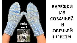 ВАРЕЖКИ ИЗ СОБАЧЬЕЙ ШЕРСТИ // knitted mittens //