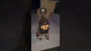 This UPS driver ain't scared of dogs