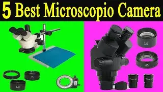Top 5 Best Digital Microscope Camera Review 2021