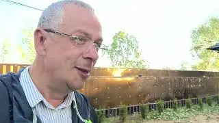 Результаты первой посадки кустарников и растений на участке...
