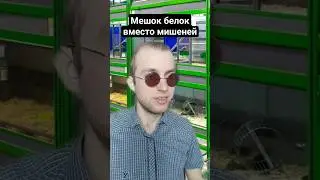 Белки вместо мишеней. Неадекват в зоомагазине 🥺