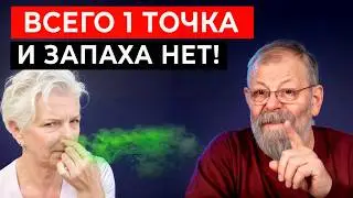 Всего 1 точка заставит желчь двигаться правильно.