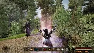 Gothic 3 Enhanced Edition + Forsaken Gods FULL HD Стрим 48 Полное прохождение на русском языке Маг