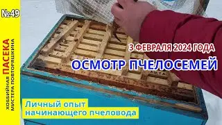 Осмотр пчелосемей на пасеке 3 февраля 2024 года. Зимовка пчел на 145 рамке. Контроль кормов.