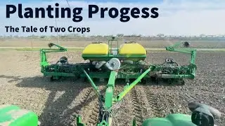 Planting Progress: The Tale of Two Crops