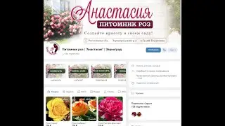 Новые розы из Питомника  Анастасия. Распаковка Часть 3.
