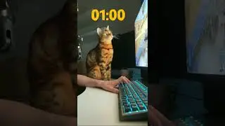 МОЙ ЧИТ-КОТ для WAR THUNDER :)