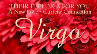 VIRGO love tarot ♍️ This Person Doesn’t Want To Be Rejected By You Virgo