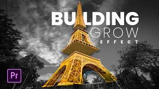 Building GROW Effect in Premiere Pro
