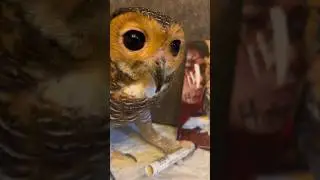 Owl jealousy issues‼️😩🦉