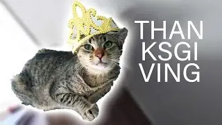 A Contractually Obligated Thanksgiving Video