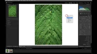 10 Tips for Working in the Develop Module in Lightroom Classic