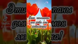 Для тебя.