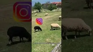 Instagram through my eyes