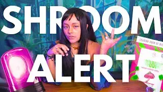 SHROOM ALERT: Hospitalizations Linked to SHROOM BARS | Counterfeits, Illness, & More
