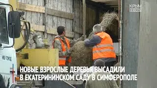 Новые деревья высадили в Екатерининском саду в Симферополе