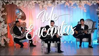 Efecto Elegante - Me Encantas (Video Oficial)