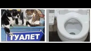 Японские унитазы в общественных местах.