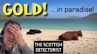 Metal detecting PARADISE! SILVER & GOLD TREASURE with the XP DEUS 2