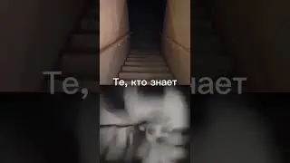 Бригада хз на какую 