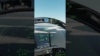 DCS  Loop Kill F-18 vs Mirage 2000 Incredible Agility 