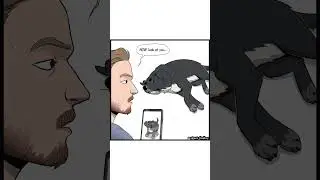 Pet Foolery: Spider (Comic Dub)