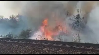 В Сальске тоже горит. Около железнодорожных путей. 🔥