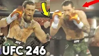 Конор Макгрегор vs Дональд Серроне перед UFC 246 / Тренировки бойцов к бою