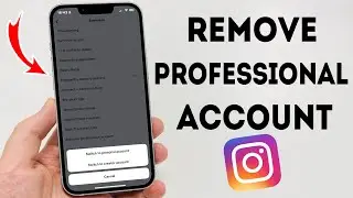 How To Remove Professional Account on Instagram - Full Guide