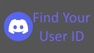 How to find your Discord user ID