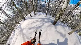 Mellow Happy Tree Skiing in Patagonia, Argentina