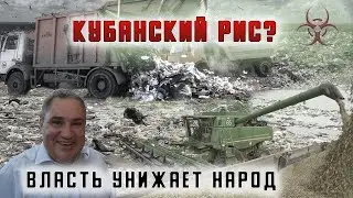Мусорный геноцид Кубани. Власть унижает народ!